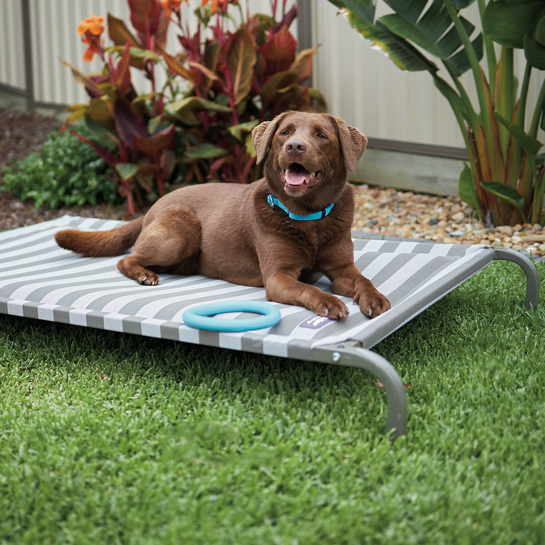 Pillow Top Outdoor Dog Bed - Striped – Kazoo Pet Co