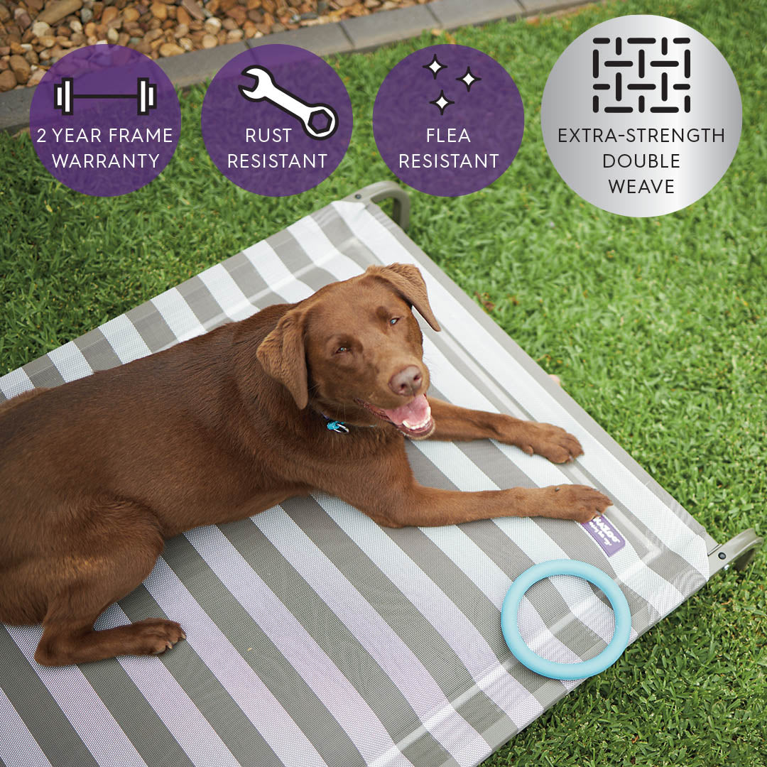 Pillow Top Outdoor Dog Bed - Striped