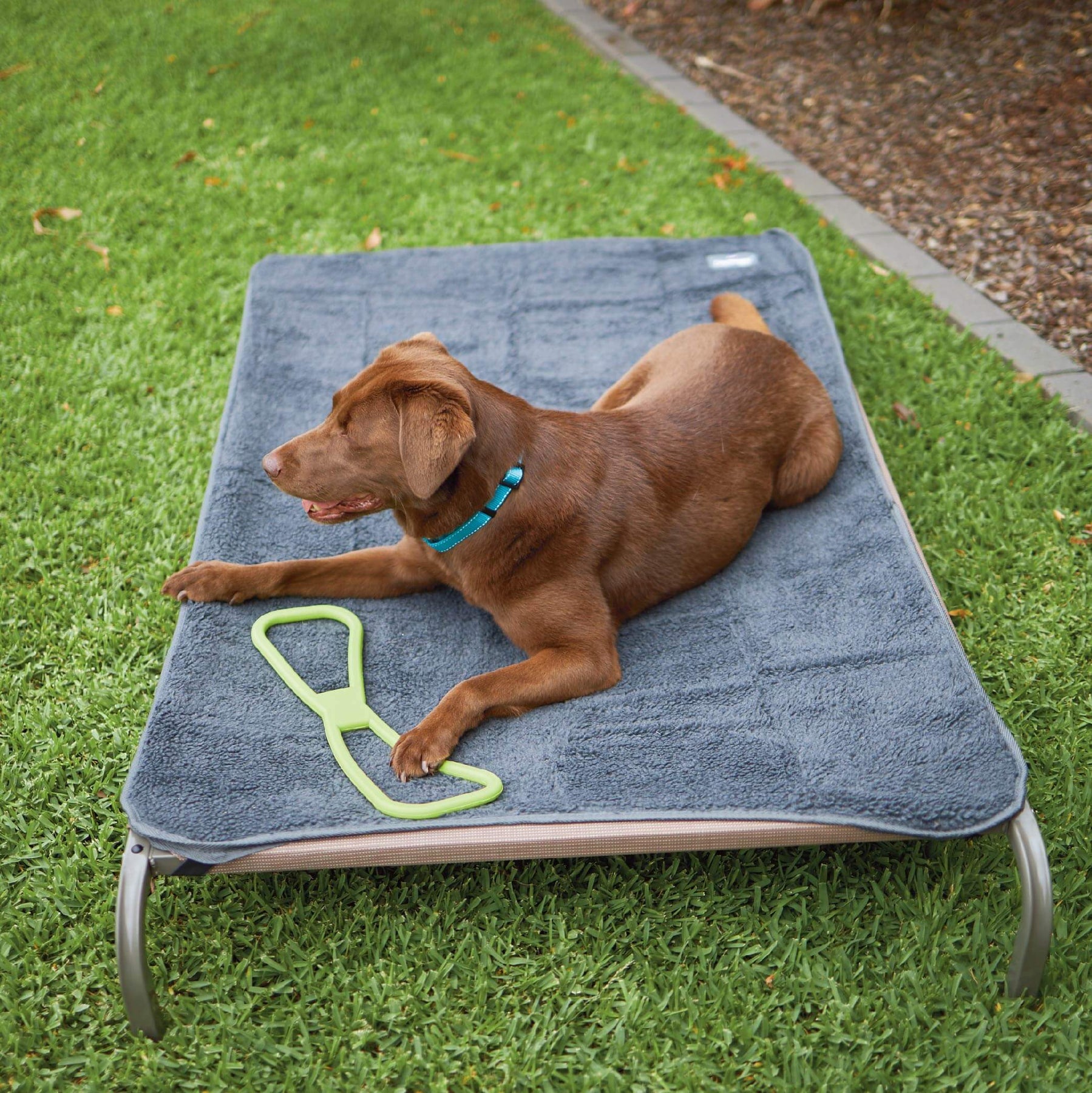 Comfy Outdoor Dog Bed Cover Grey Kazoo Pet Co