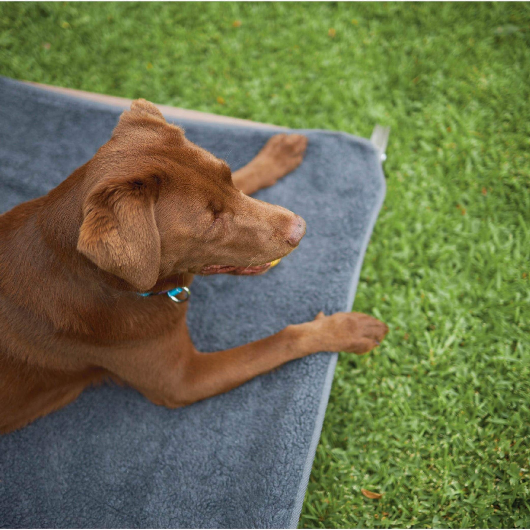 Comfy Outdoor Dog Bed Cover Grey Kazoo Pet Co