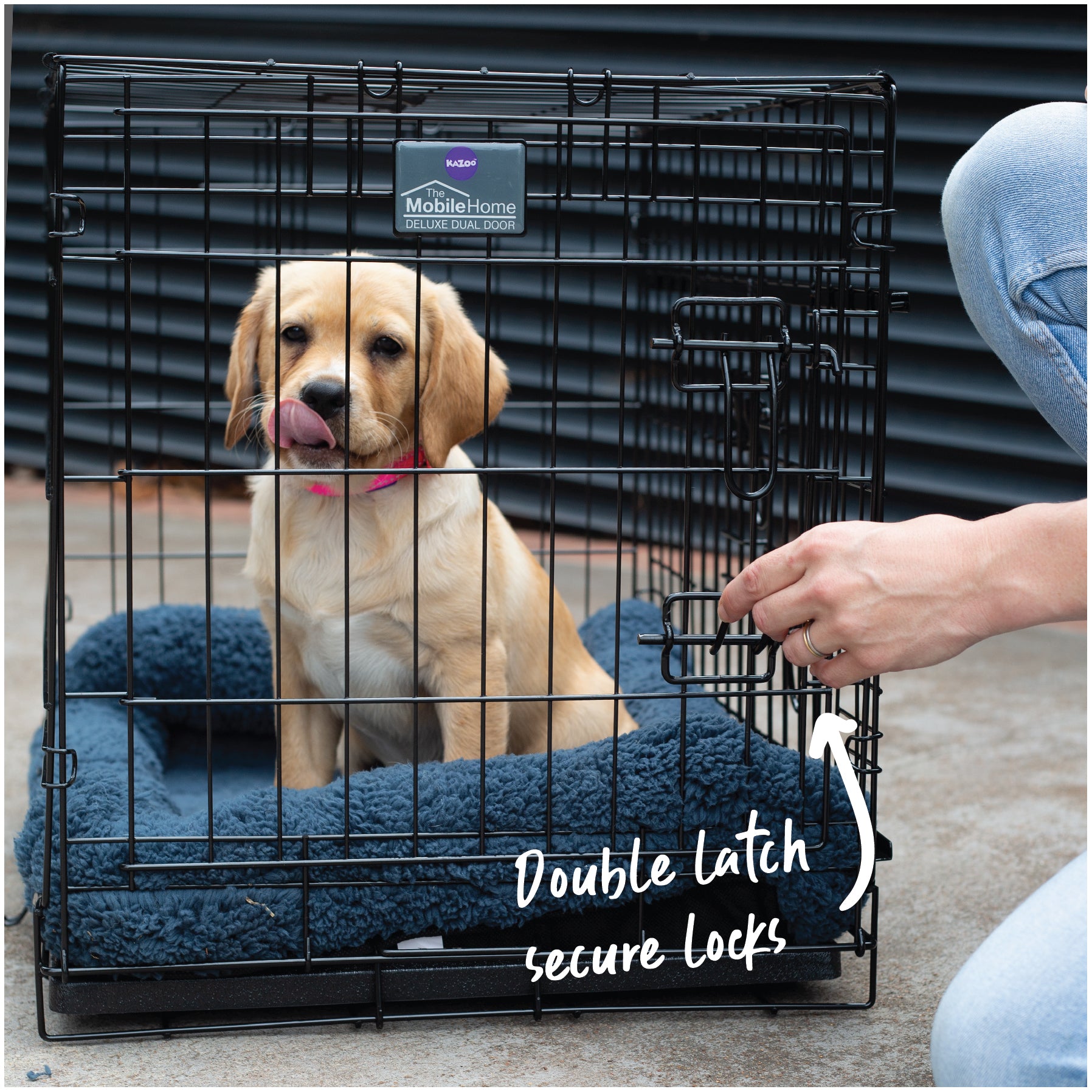 Dog Crates Cages Small Medium Large XXL Kazoo Pet Co