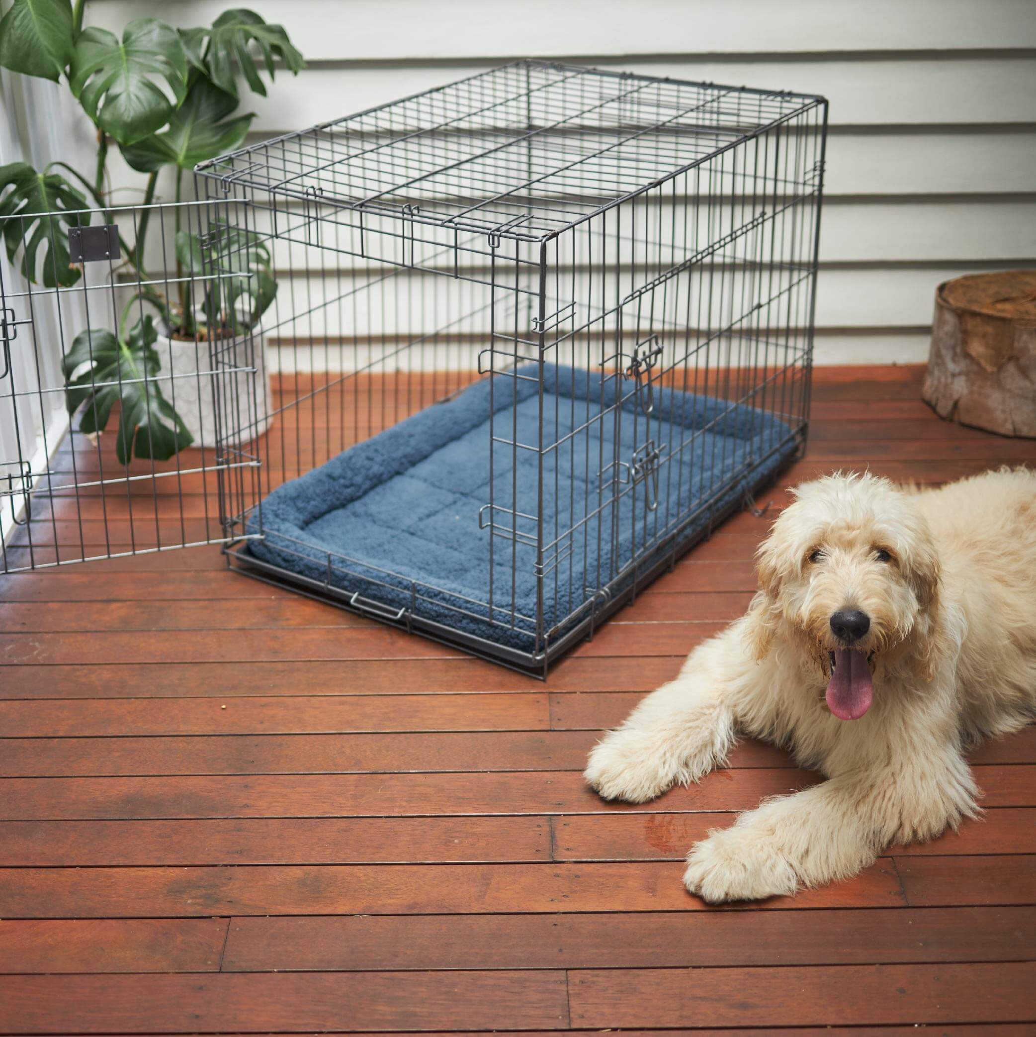 Cushion for on sale dog crate