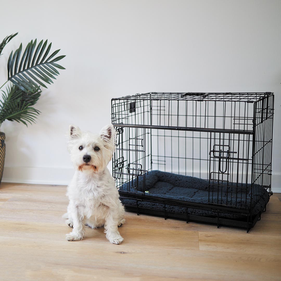 Pet crates for small cheap dogs