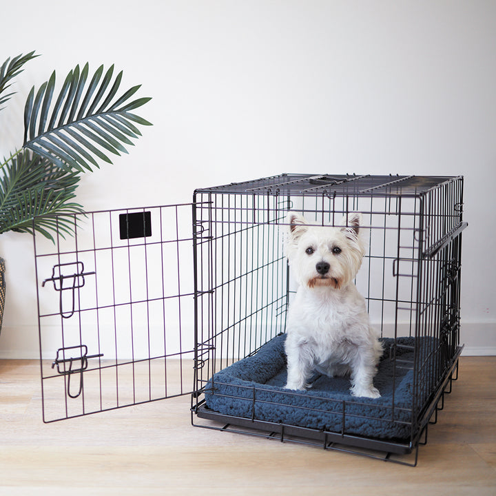 Everyday Pet Crate