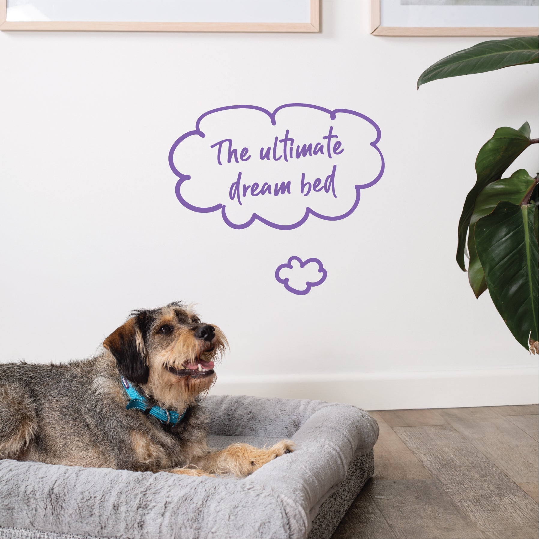 Wombat Plush Dog Bed Kazoo Pet Co