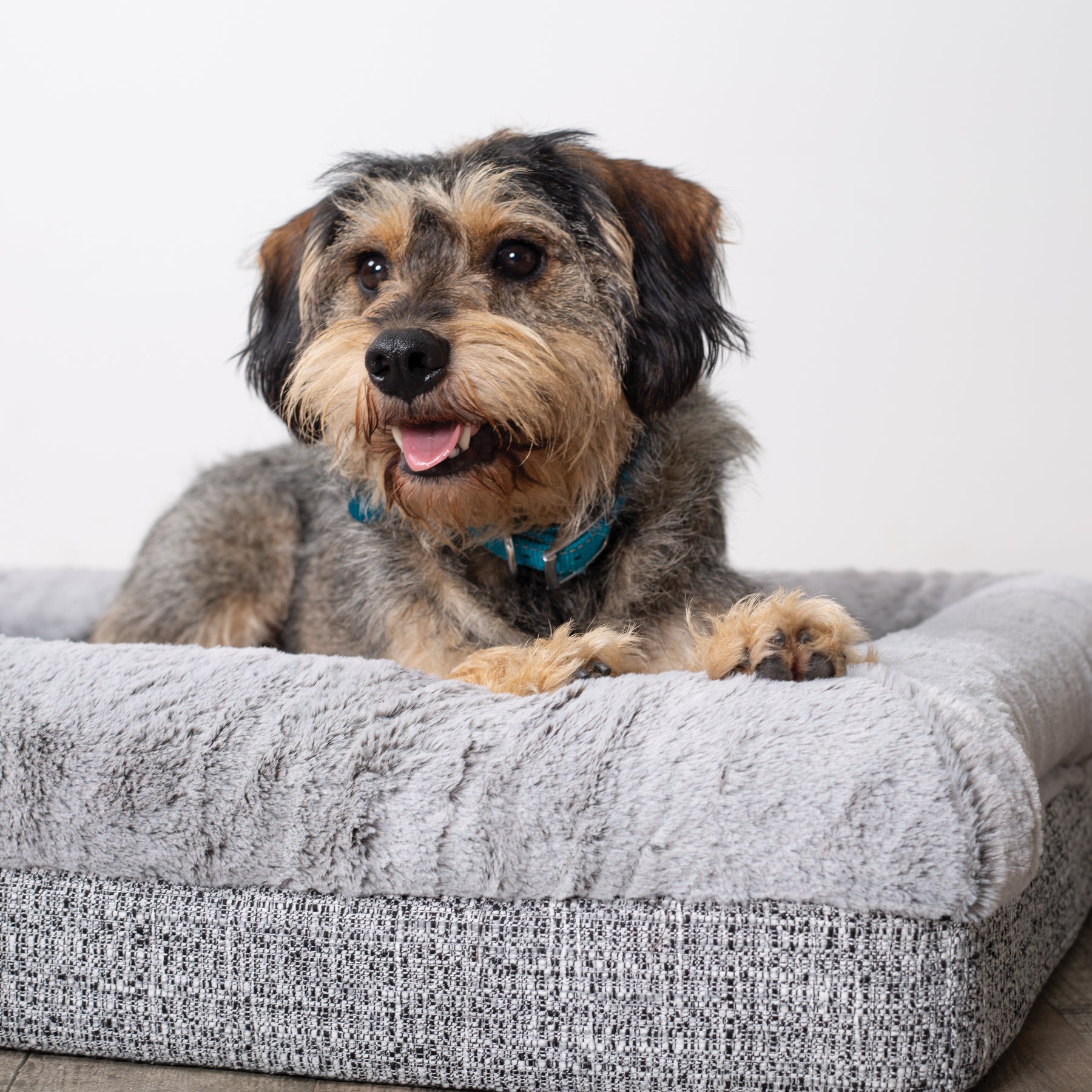 Wombat Plush Dog Bed Kazoo Pet Co