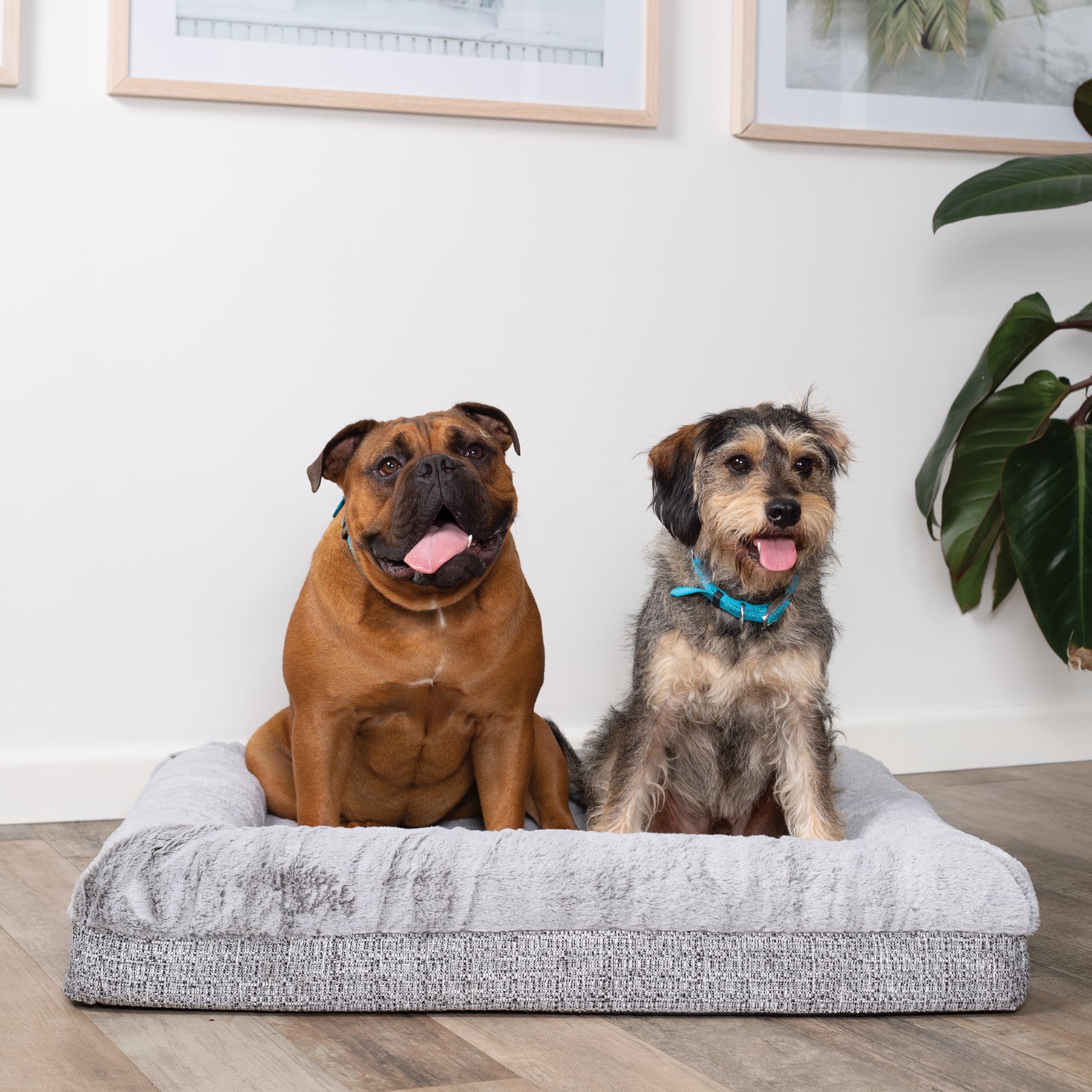 Wombat Plush Bed - Kazoo Pet Co