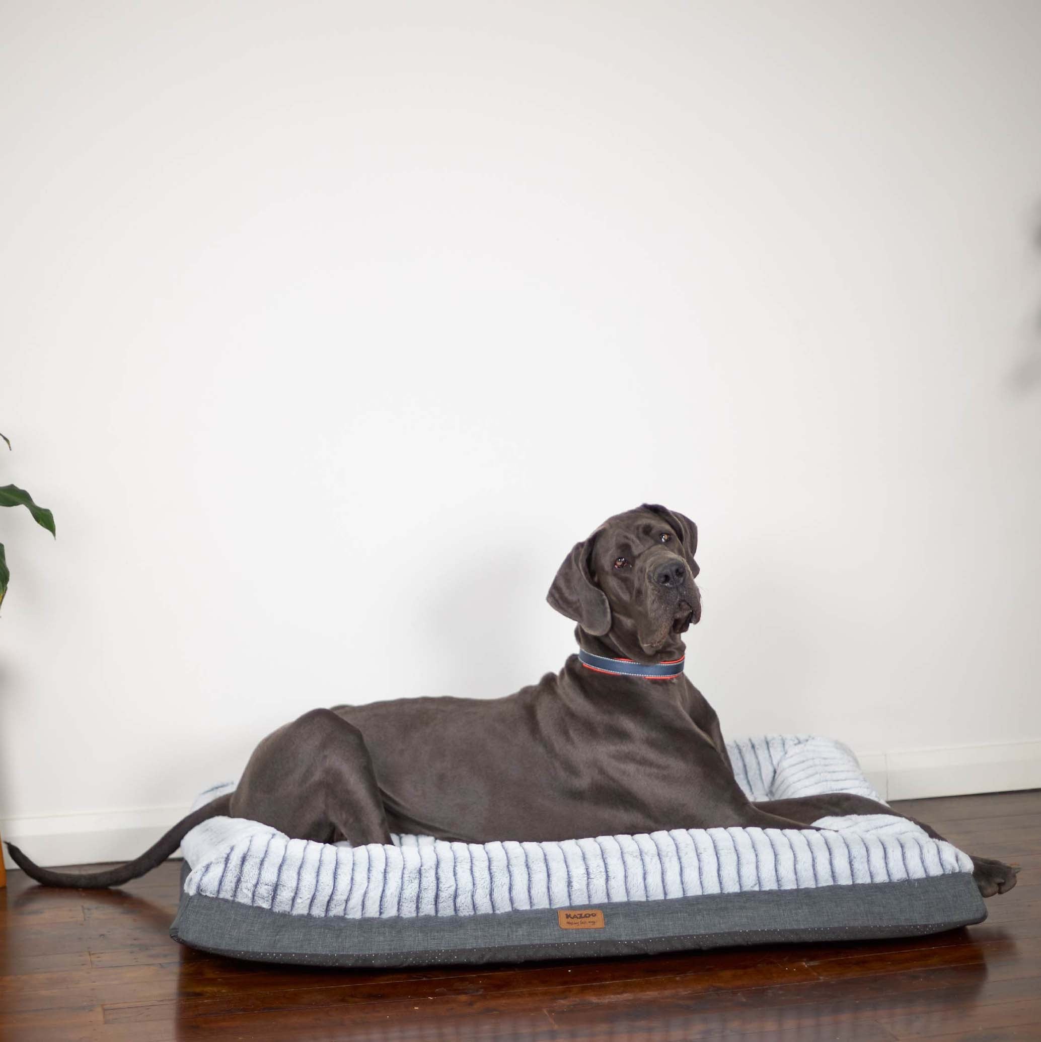 Comfort hot sale dog bed
