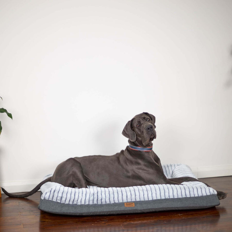 Cloud Comfort Dog Bed Kazoo Pet Co