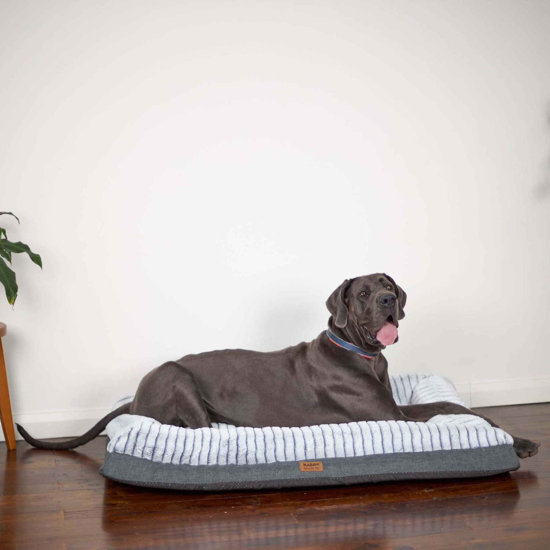 Cloud Comfort Dog Bed Kazoo Pet Co