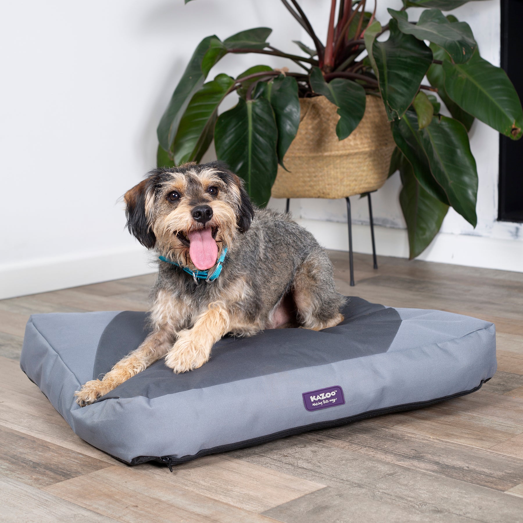 Verandah Dog Bed Kazoo Pet Co