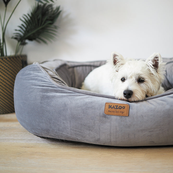 Bilby Bed - Kazoo Pet Co