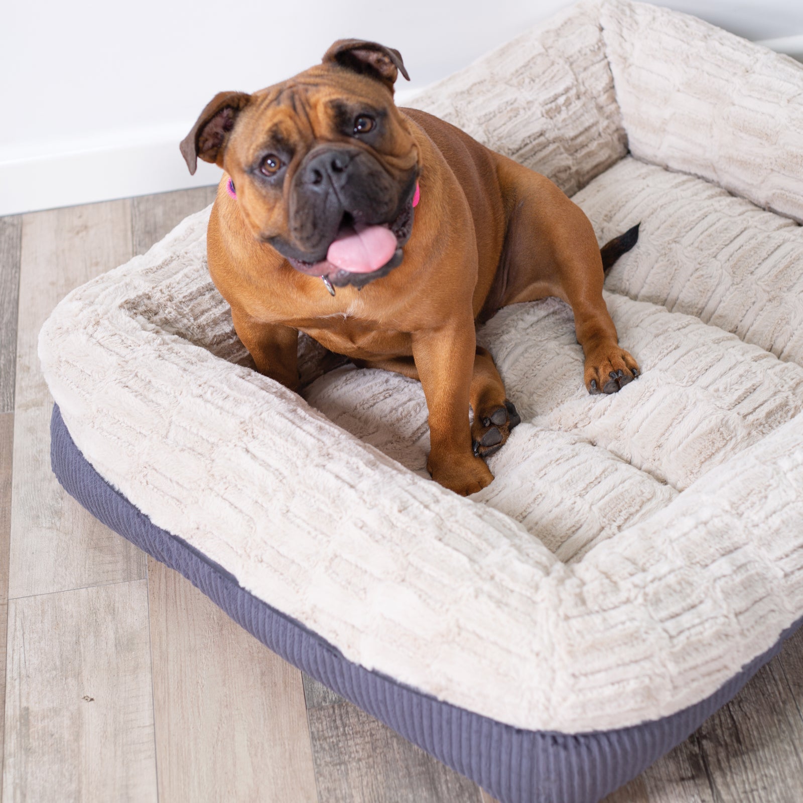 Possum Bed - Kazoo Pet Co