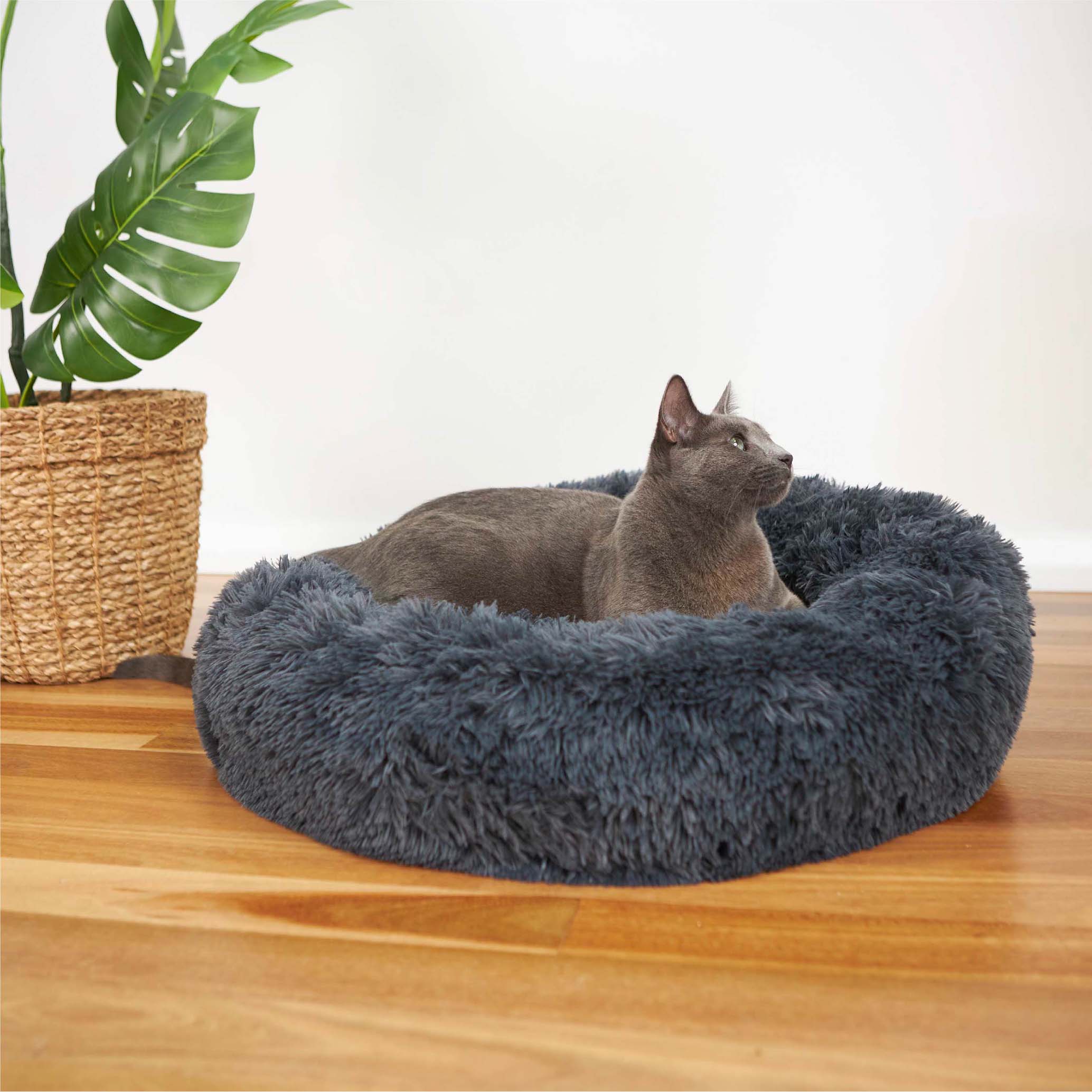 Kazoo cat bed 2025