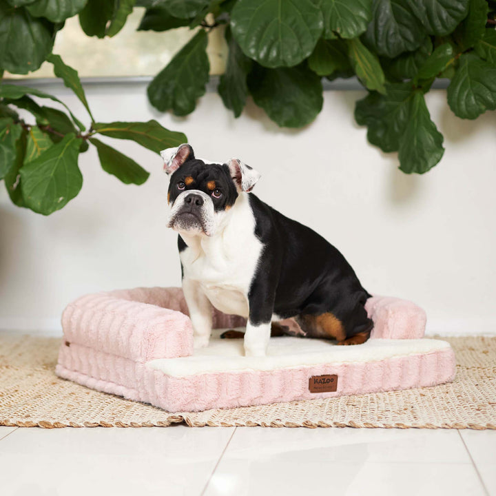 Boudoir Dog Bed - Blush