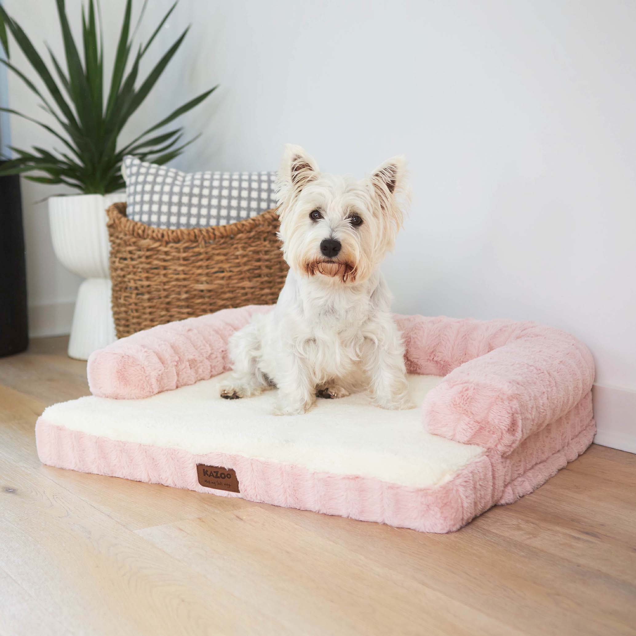 Pampered pet princess hotsell pink dog bed