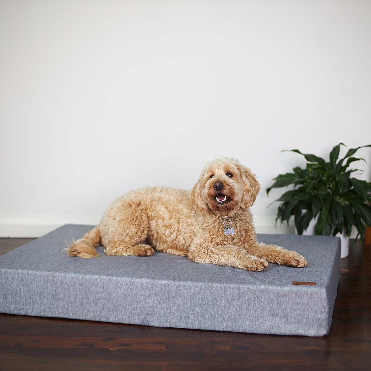 Orthopedic slumber on sale ball