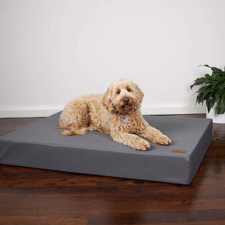 Slumber Dog Bed - Slate