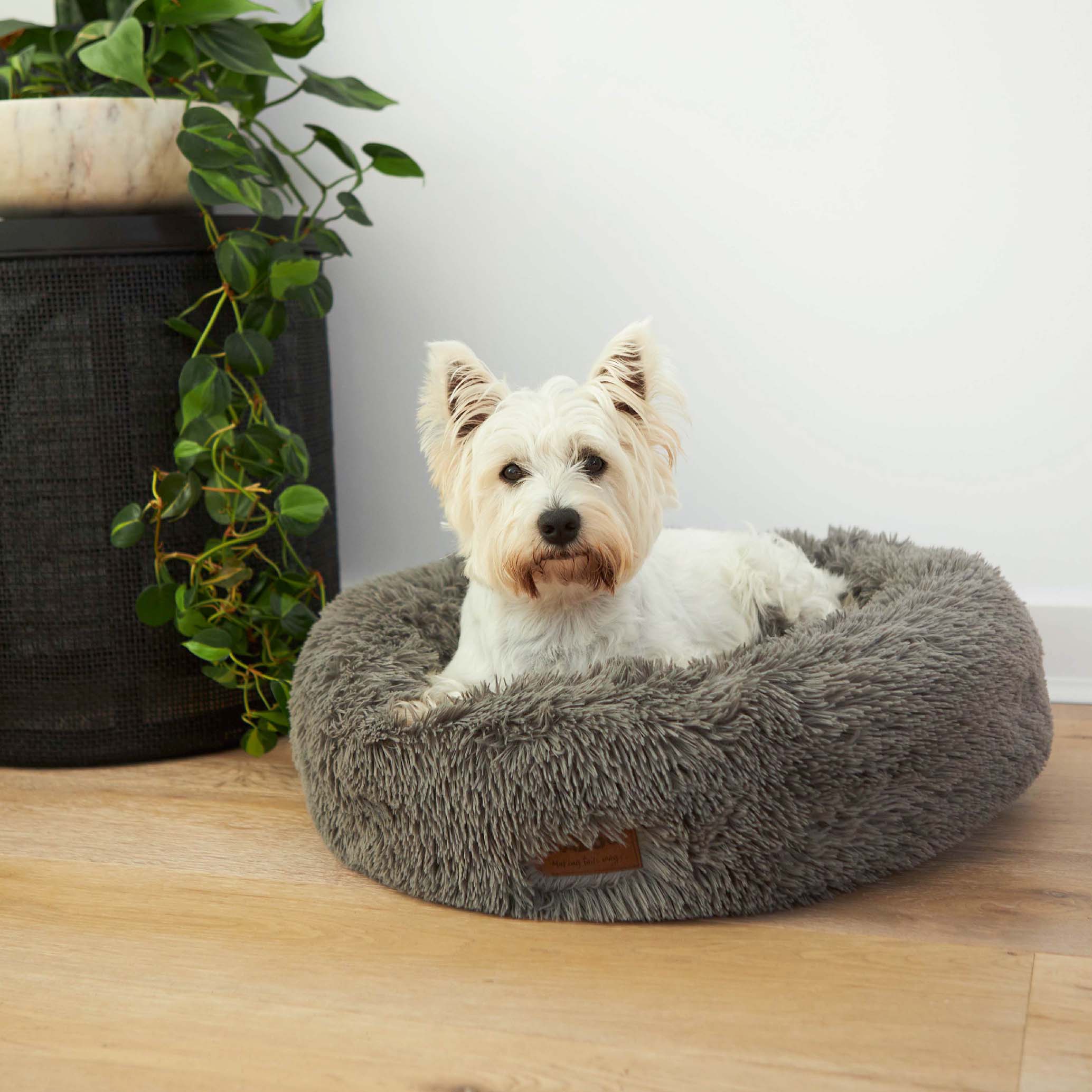 Novelty goodies best sale calming dog bed