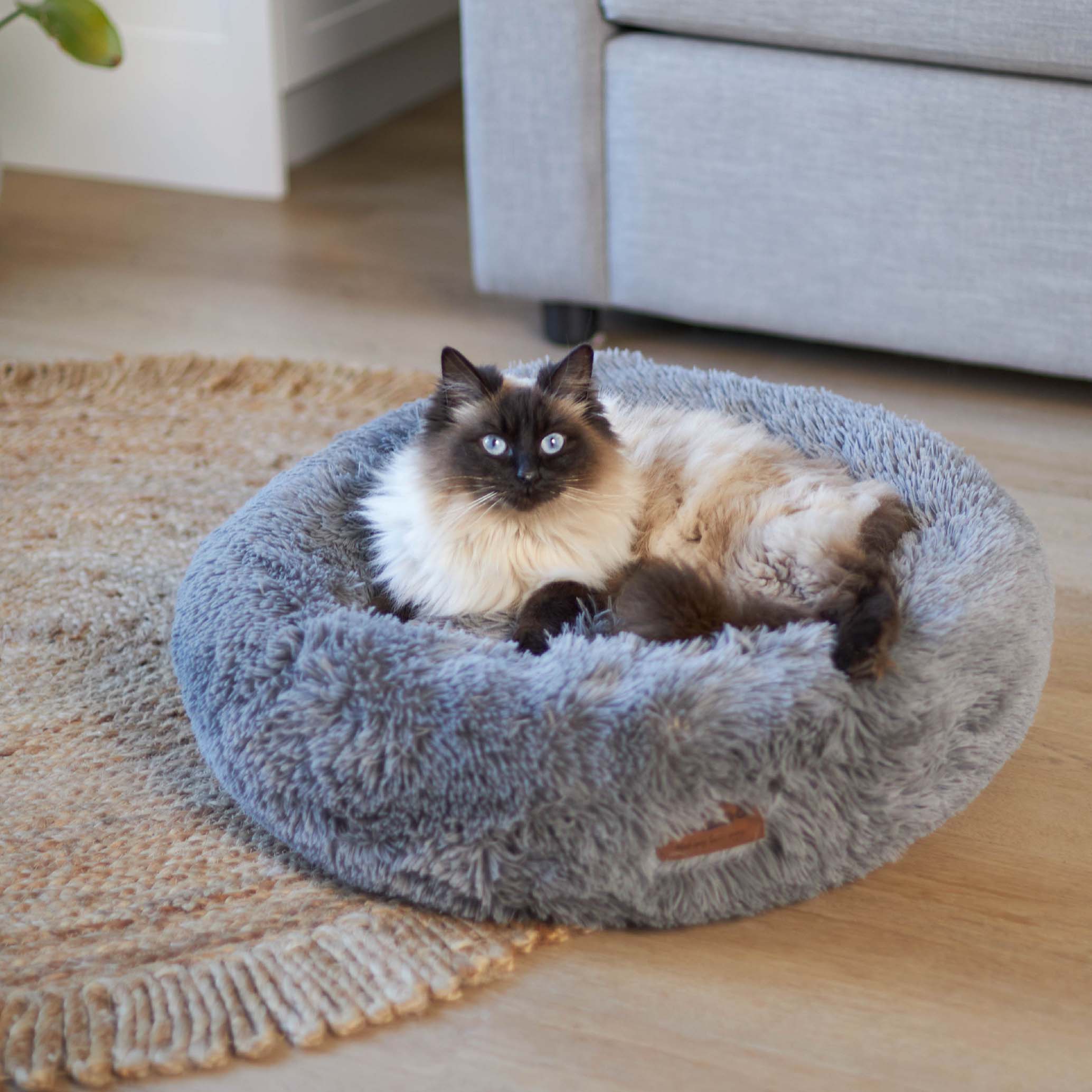 Best cat beds australia outlet
