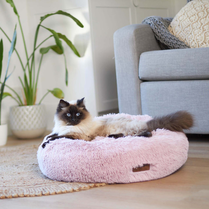 Kitty Peacock Bed - Rose