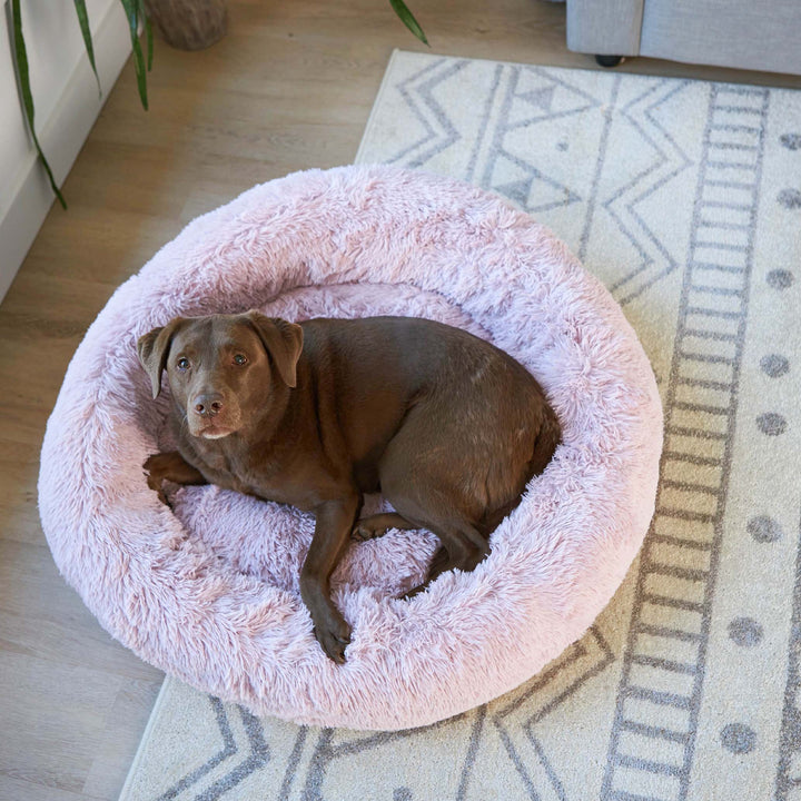 Peacock Dog Bed - Rose