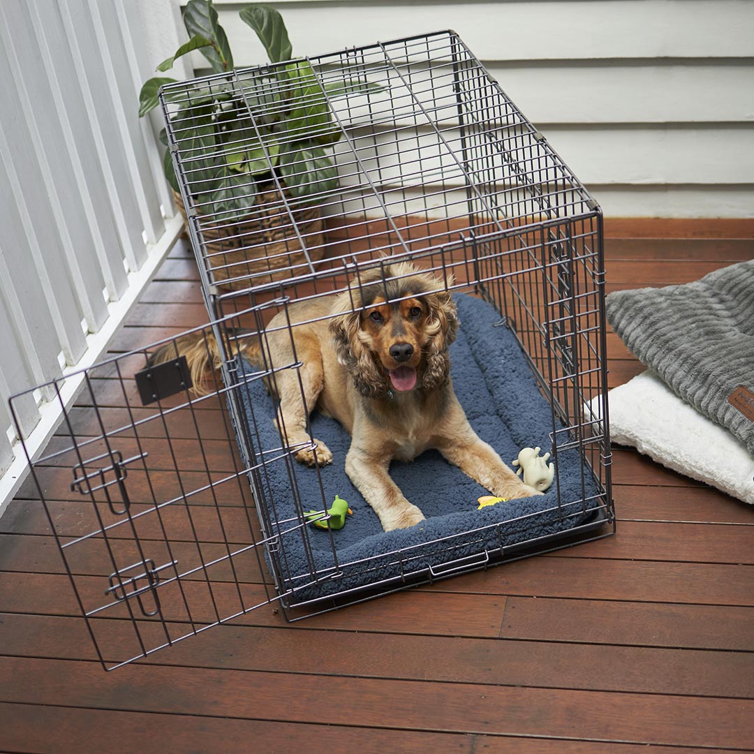 Premium Pet Crate Kazoo Pet Co