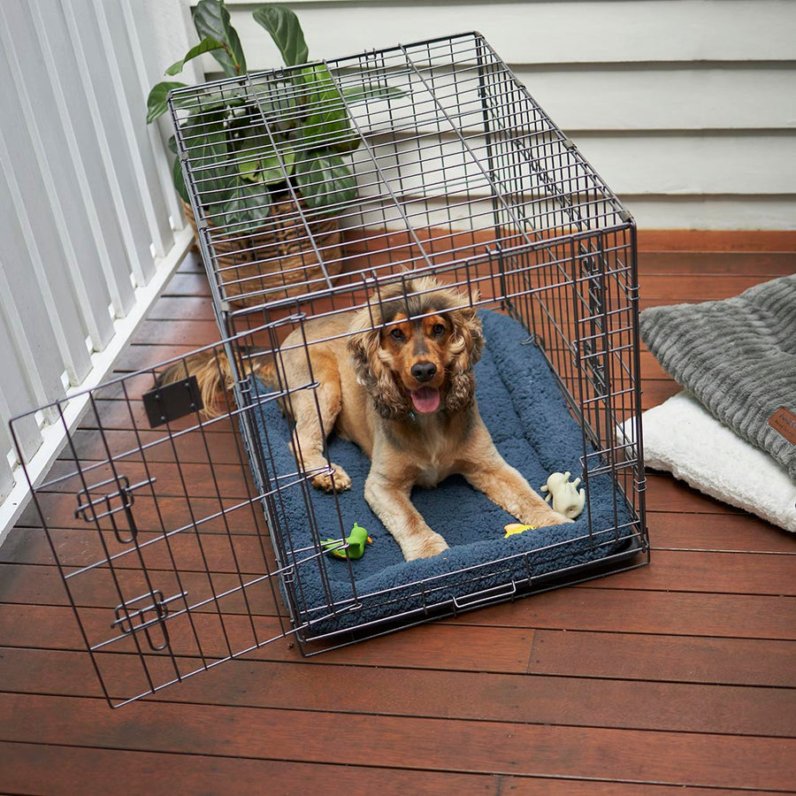 Premium Pet Crate Kazoo Pet Co