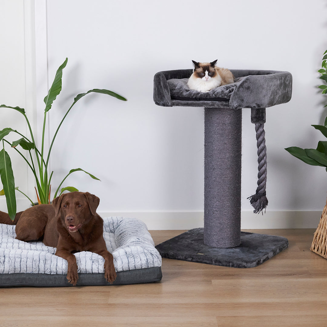 High Bed Cat Scratch Post - Charcoal Plush