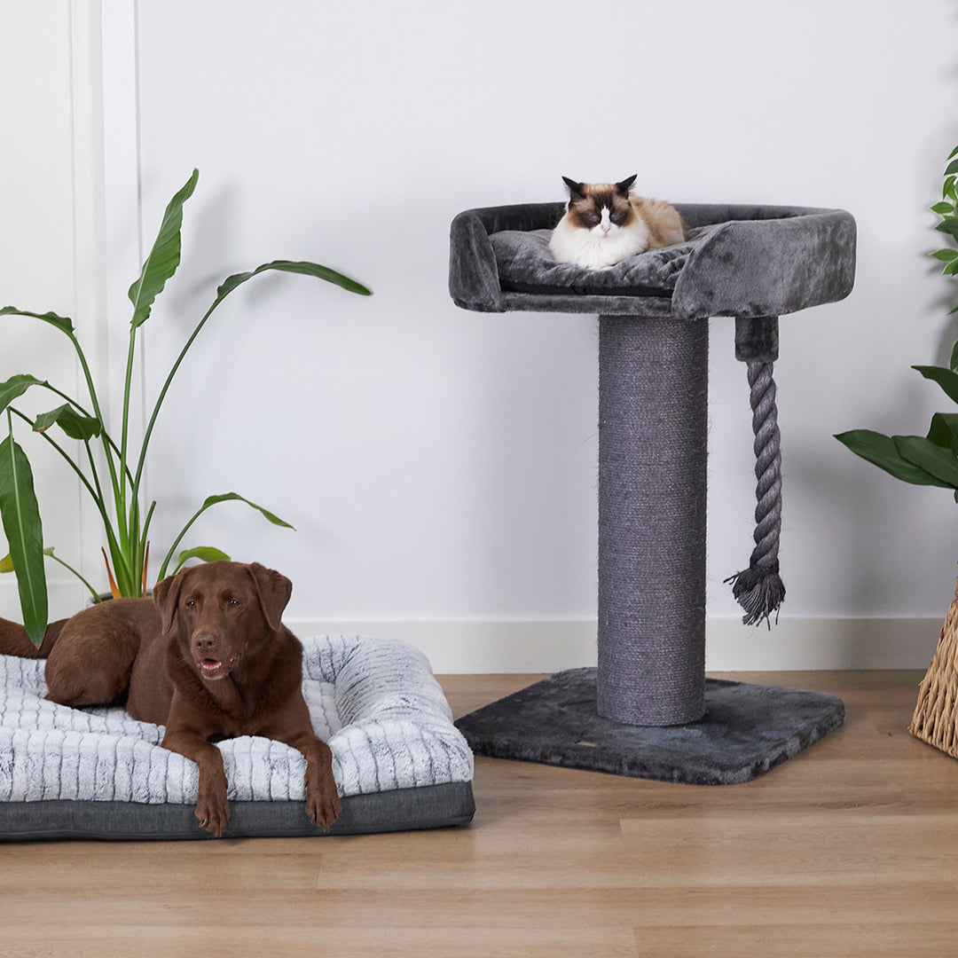 High Bed Cat Scratch Post Charcoal – Kazoo Pet Co