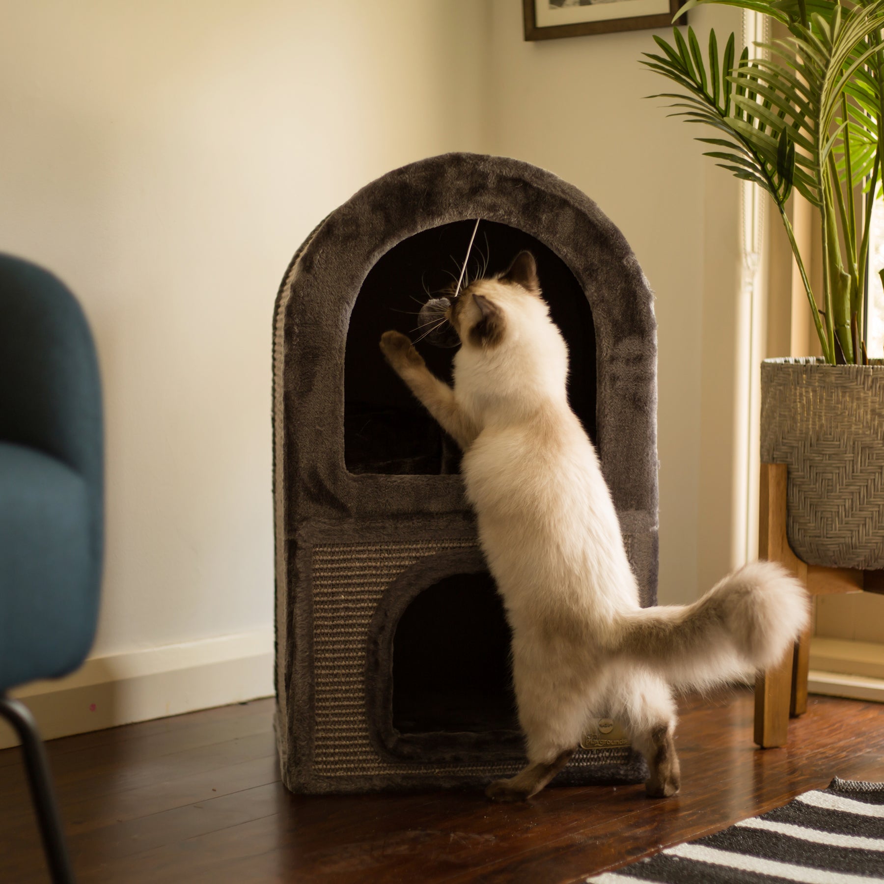 2 Chambers Cat Den Charcoal Kazoo Pet Co