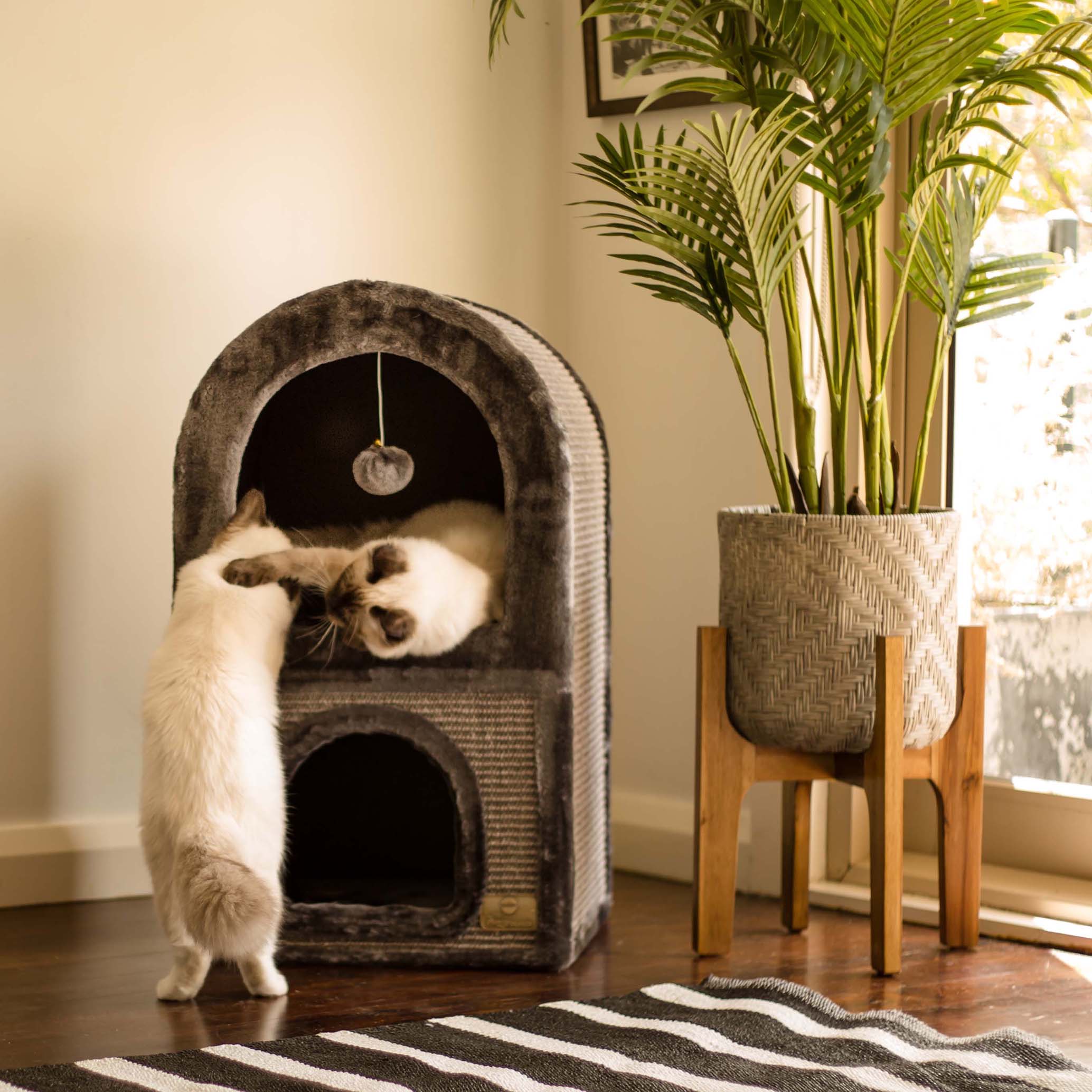 Deben Racks Cat 2 Chambers Cat Den - Charcoal – Kazoo Pet Co