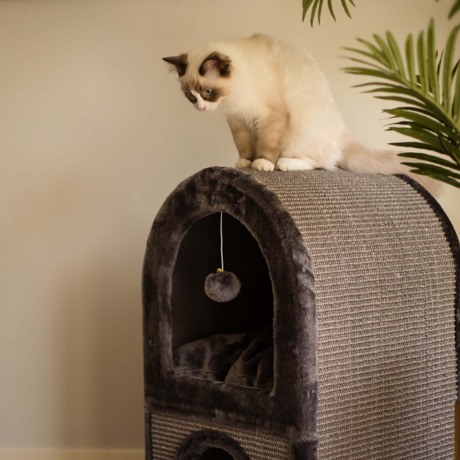 2 Chambers Cat Den Charcoal Kazoo Pet Co