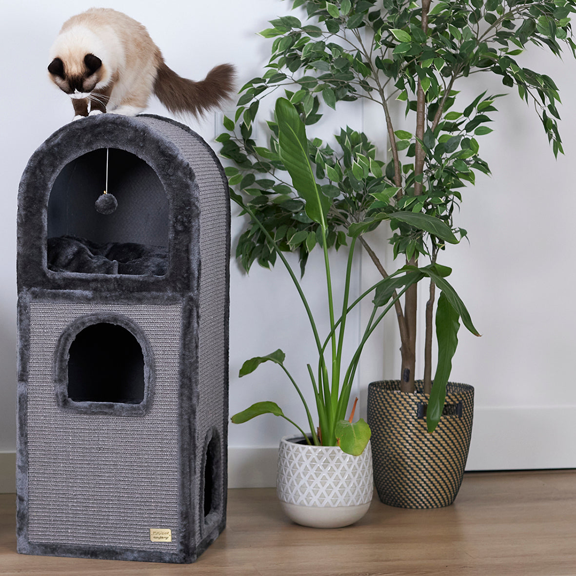 Cat play gym sales
