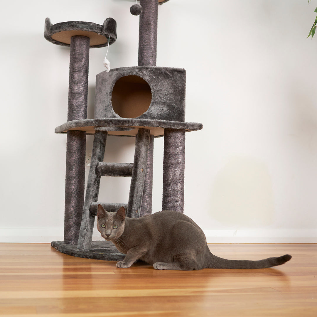 Pet Friendly Cat Christmas Tree Argos Corner Level Cat Playground