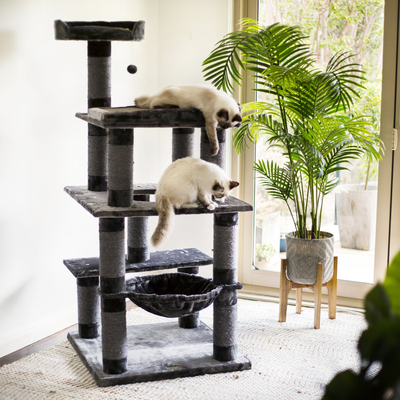 5 Level Playground - Charcoal - Kazoo Pet Co
