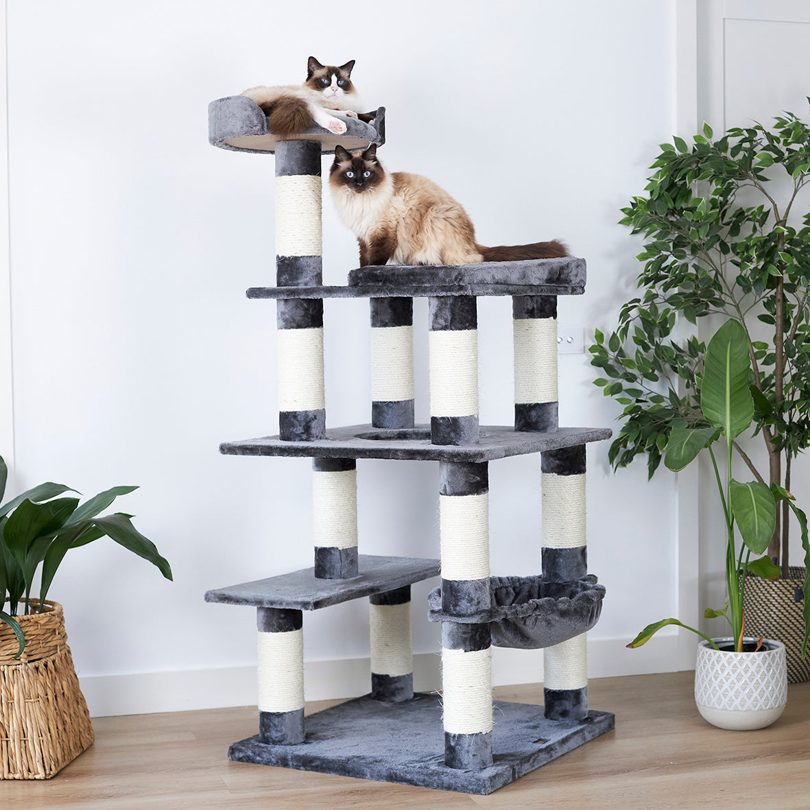 5 Level Cat Playground Charcoal Cream Kazoo Pet Co