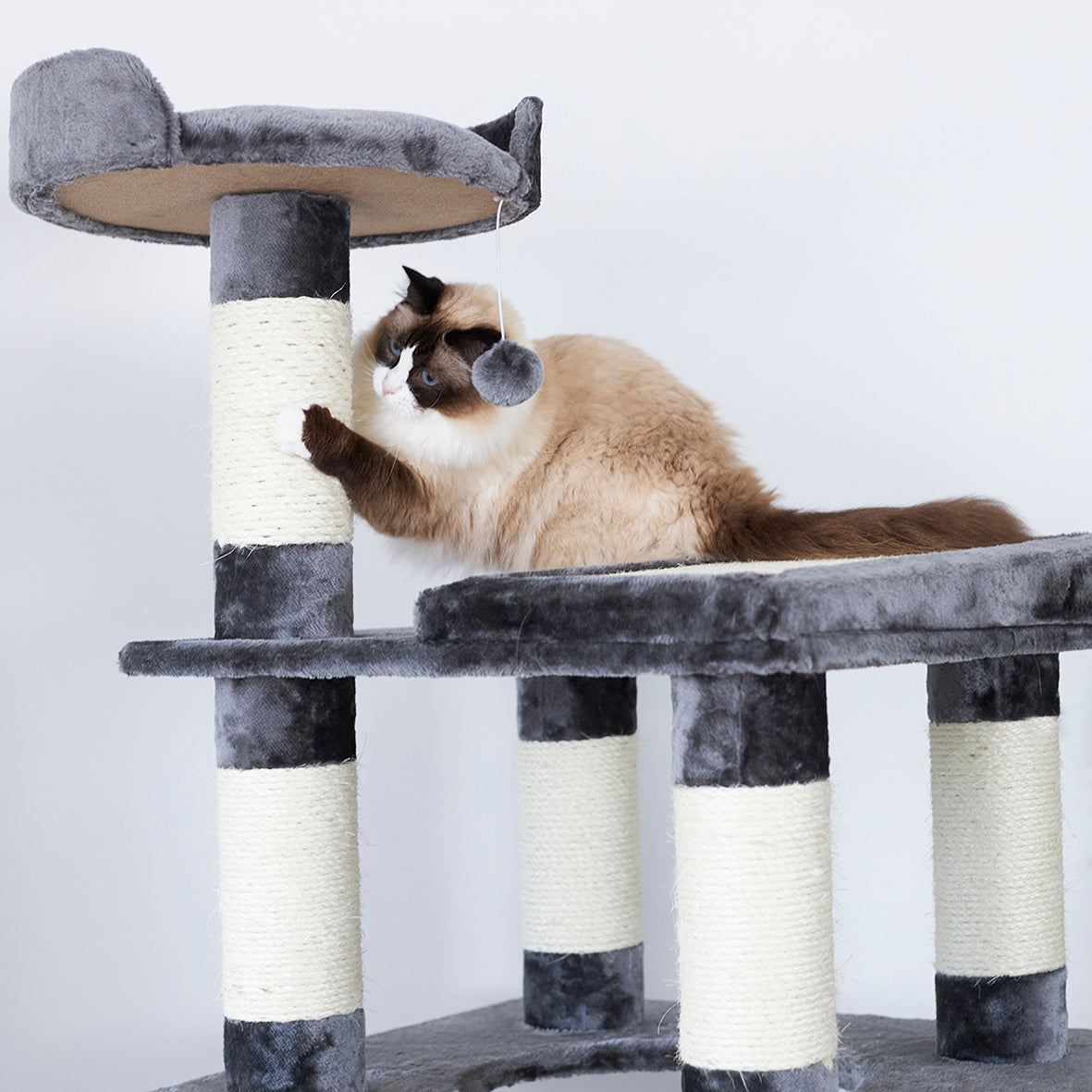 5 Level Cat Playground Charcoal Cream Kazoo Pet Co