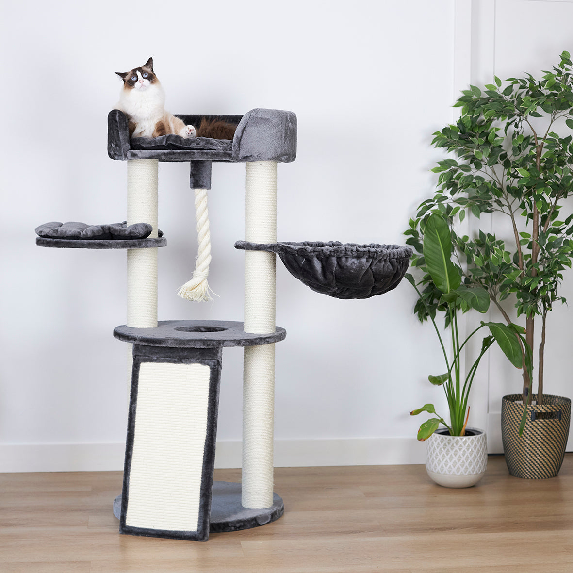 Kitty Scratch & Sleep - Cream & Charcoal - Kazoo Pet Co