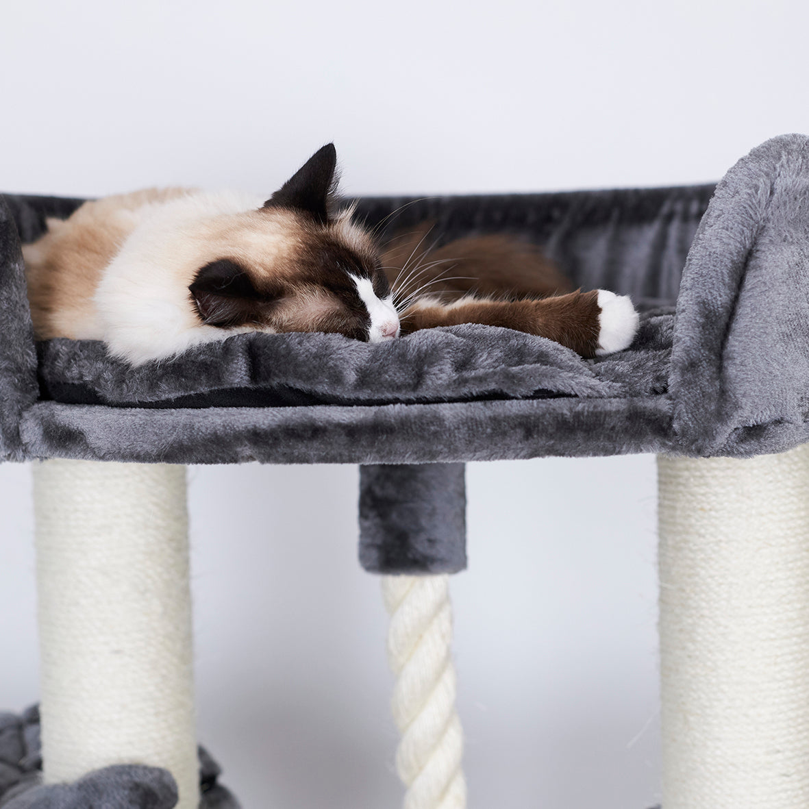 Kazoo outlet cat scratchers