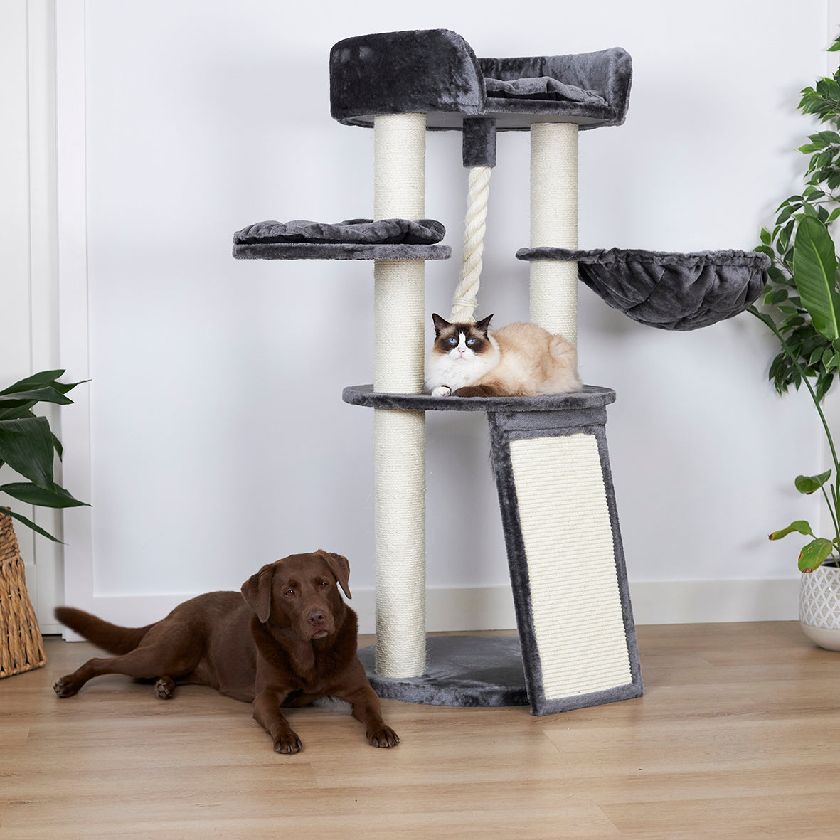 Kitty Scratch & Sleep - Cream & Charcoal - Kazoo Pet Co