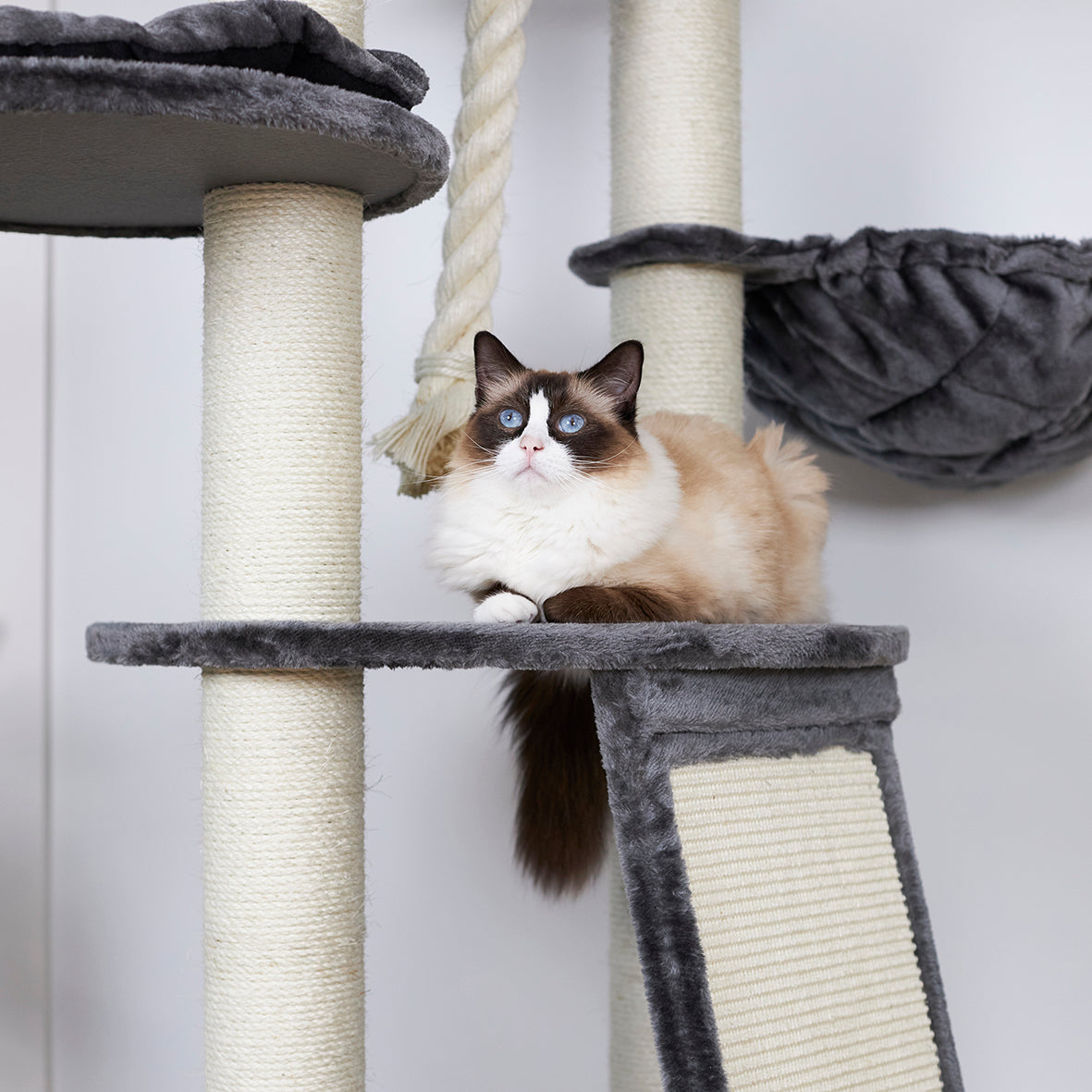 Kitty Scratch & Sleep Post Cream & Charcoal Kazoo Pet Co