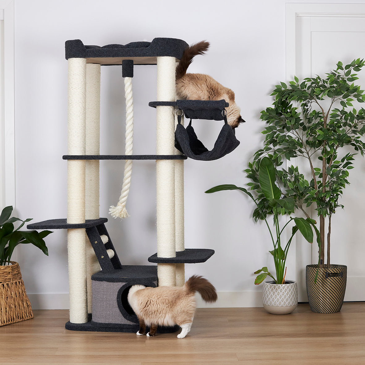 Kitty Climb Playground Grey Carpet Kazoo Pet Co
