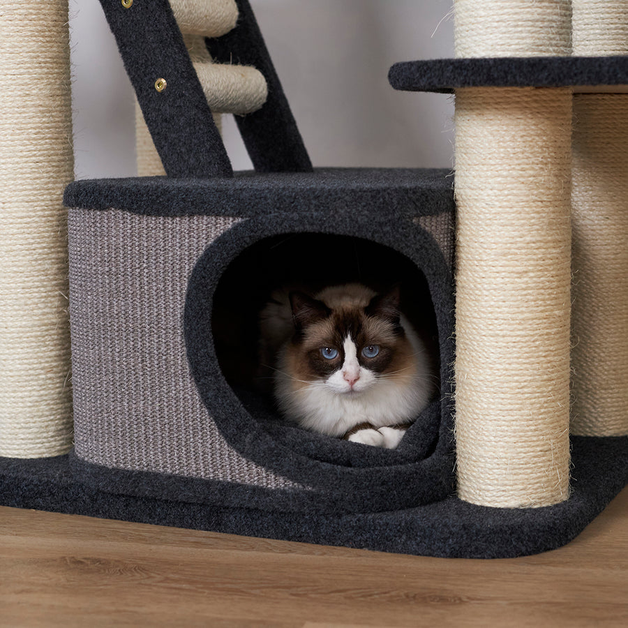Kitty Climb Playground Grey Carpet Kazoo Pet Co