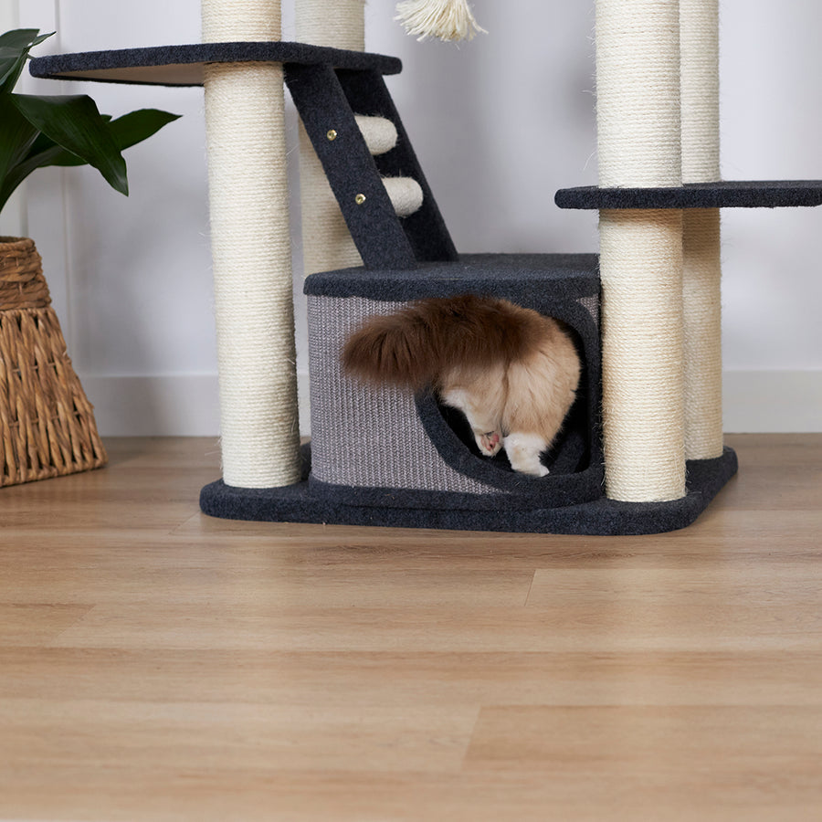 Kitty Climb Playground Grey Carpet Kazoo Pet Co
