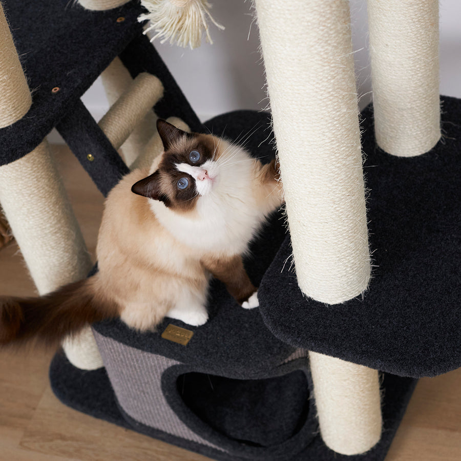 Kitty Climb Playground Grey Carpet Kazoo Pet Co