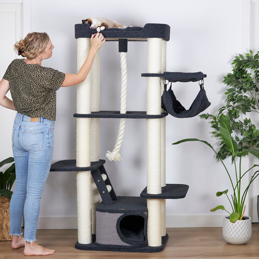 Kitty Climb Playground Grey Carpet Kazoo Pet Co