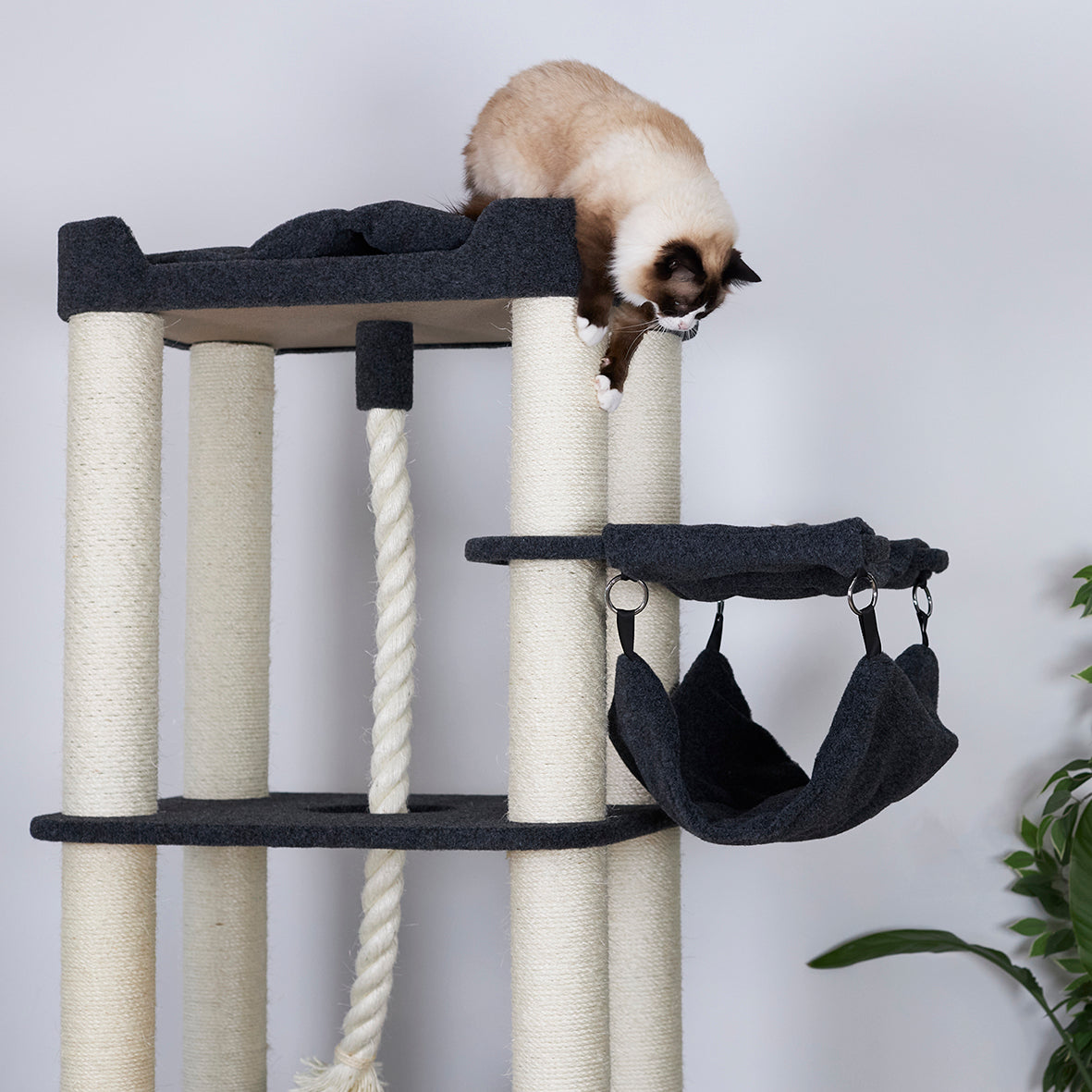 Kitty Climb Playground Grey Carpet Kazoo Pet Co