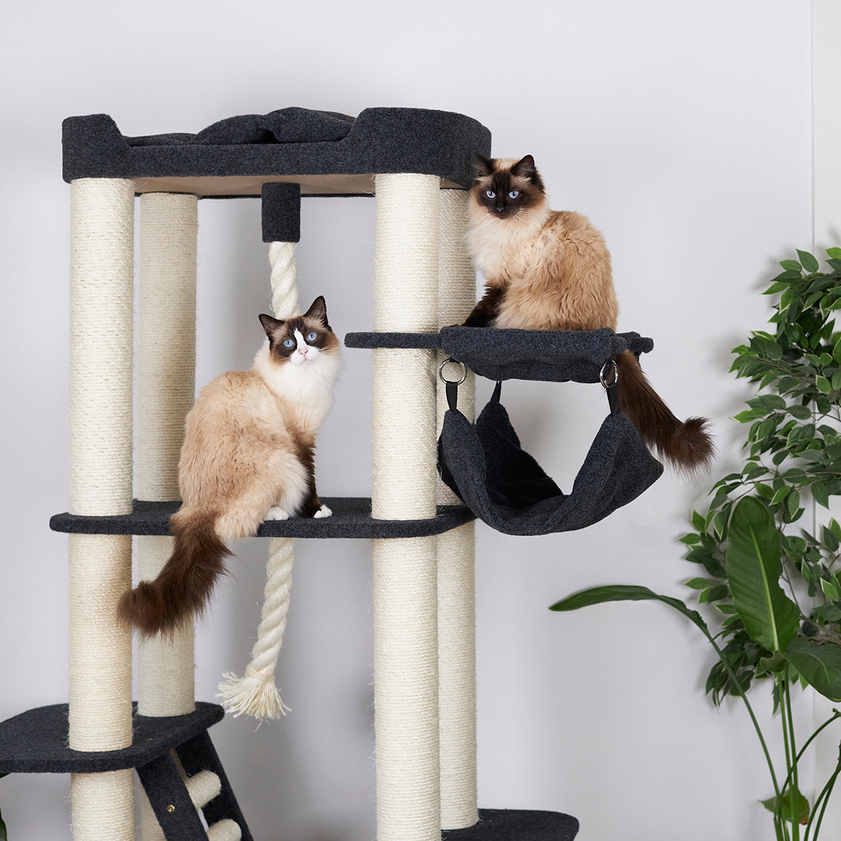 Kitty Climb Playground - Grey Carpet - Kazoo Pet Co