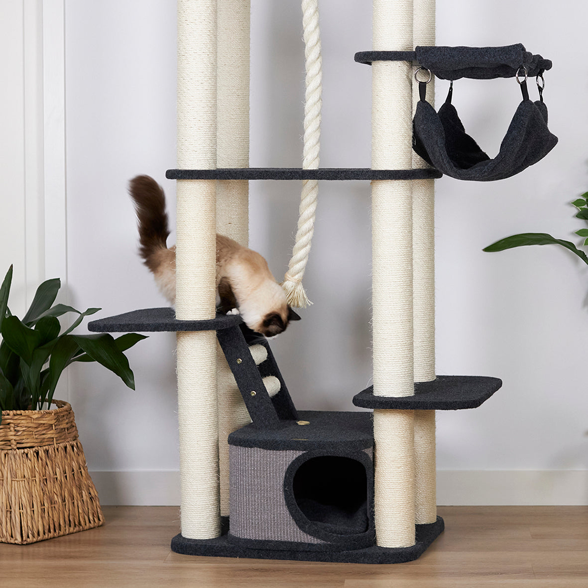 Kitty Climb Playground Grey Carpet Kazoo Pet Co